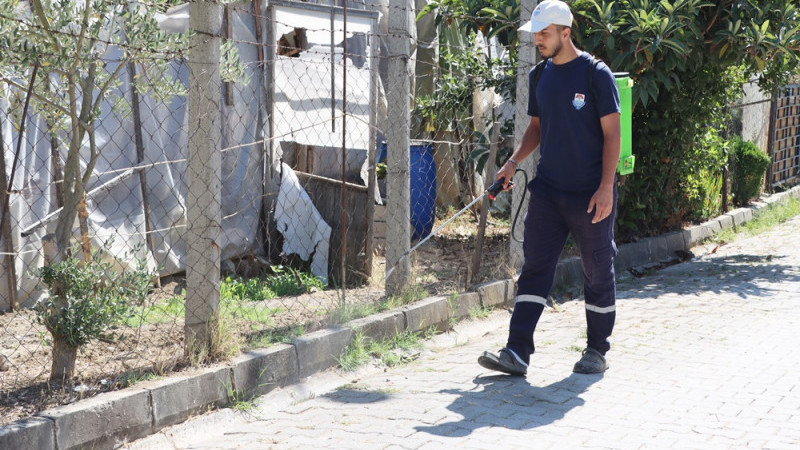 Yabani Otlar İlaçlanarak Kurutuluyor