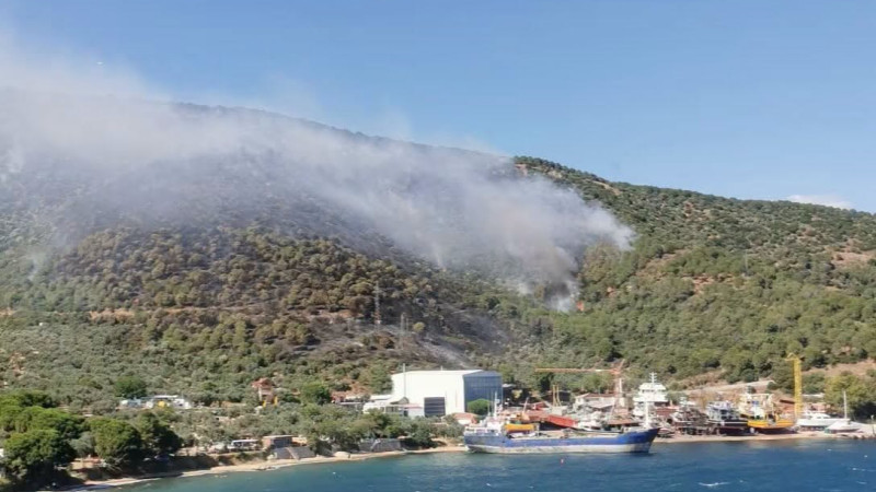 Yalova-Bursa Sınırındaki Orman Yangını Kontrol Altında