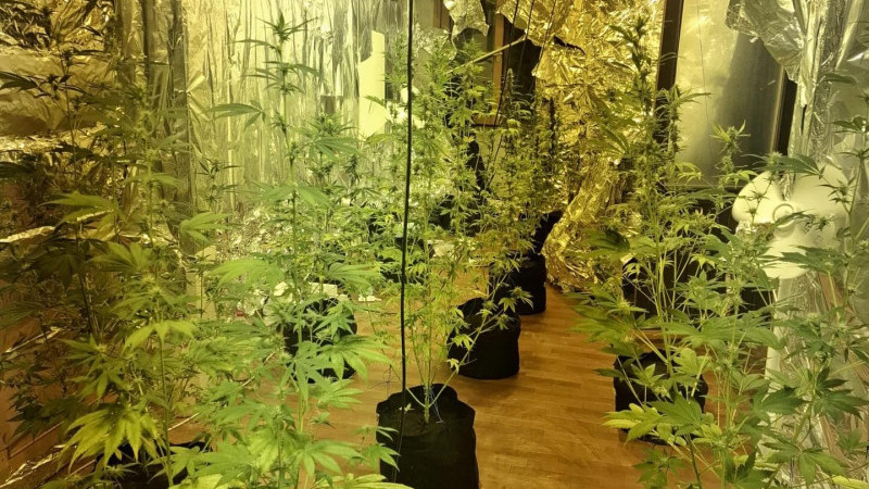 Aranan Hükümlüye Operasyon: Evinde Uyuşturucu İmalathanesi Kurmuş