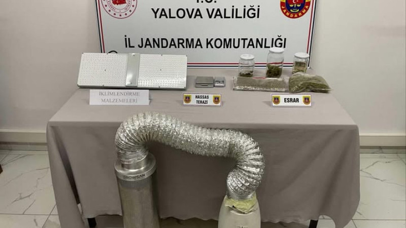 Jandarmadan Uyuşturucu Operasyonu