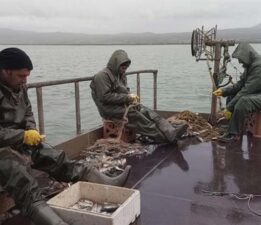 2022-2023 Endüstriyel Balıkçılık Av Sezonu Kapandı